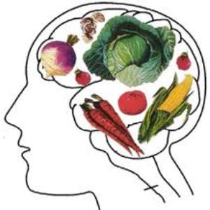Should everyone become vegetarian? Cont.