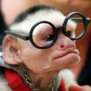 Primate School: Genius or Monkey Business?