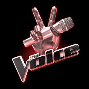 The Voice finalists
