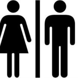 Are boys and girls too different to compare?