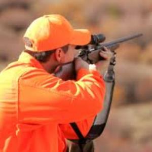 Should hunting in national parks be prohibited?