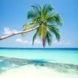 Holidays