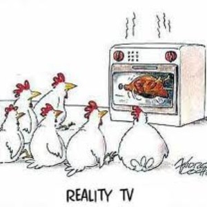 Are reality shows the best type of show on TV?