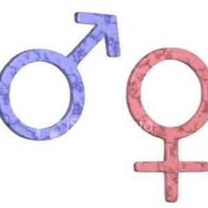 Which gender are you?