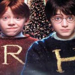 Harry Potter or Ron Weasly?