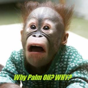 Palm Oil - Good or bad