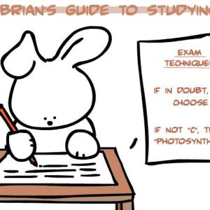 How do you study?