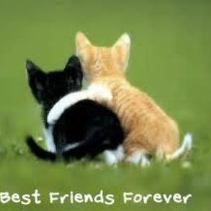 Do you know your VX Community friends?