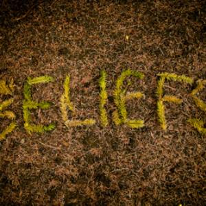 Does your upbringing influence your beliefs?