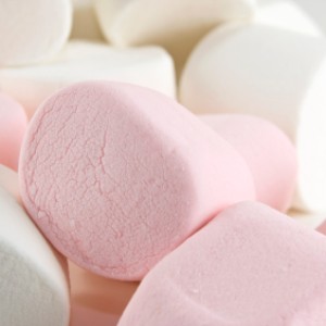 The Marshmallow Question..