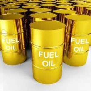 FUEL AND SUSTAINABLITY 