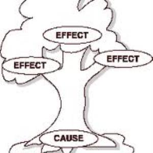 Cause and Effect