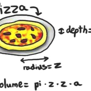 The Government Should GIve Everyone free pizza