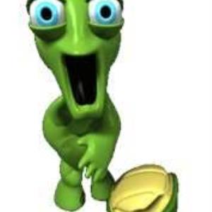 If a turtle doesnt have a shell, is it naked or homeless ?