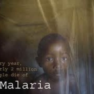 What factor should we be focusing on in the battle against malaria?