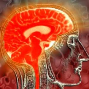 Should Dementia be our main focus for elderly health?