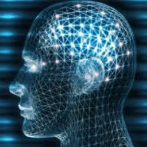 Intelligence VS Knowledge