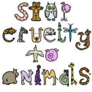 Animal cruelty. Is it really necessary?
