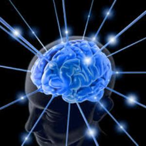 Are we getting smarter?