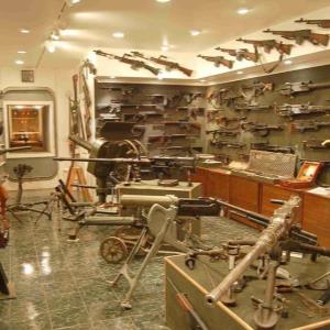 Firearms survey