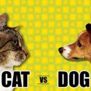 Cats vs. Dogs