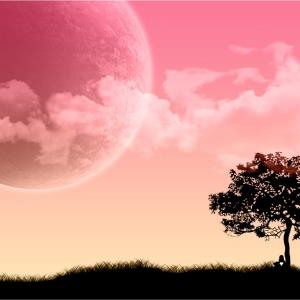 DO YOU WISH YOU COULD REMEMBER YOUR DREAMS?