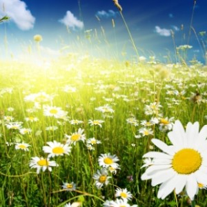 How do I sustain well - being in an age of anxiety? (Year 10 Fertile Question)