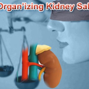 We should legalise the sale of kidneys.