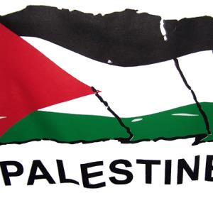 Palestine - a recognised state?