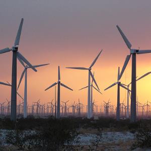 Should the Australian carbon tax be introduced worldwide?