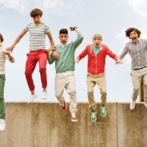 Which One Direction Member do you like the most?