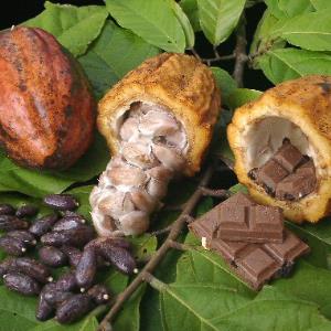 Chocolate Not Chocolate?