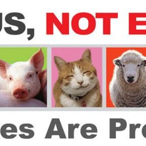Should everyone become vegetarian?