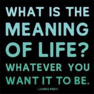What do you think is the meaning of life?