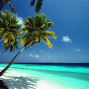 Holiday destination