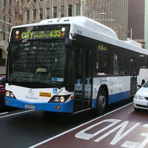 Students should respect bus drivers