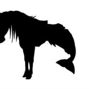 Horses or Fish